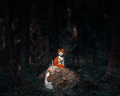 TR-127723_TIMOREUNANEN_2024-07-03-180345_127723-Enhanced-NR-Edit-