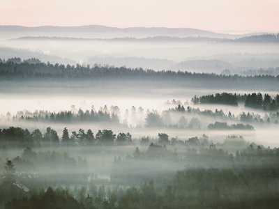 TR-45570_5004_TIMOREUNANEN_2020-08-08-045906_+0.7_45570Copy 1
