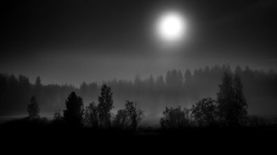 TR-47623_7193_TIMOREUNANEN_2020-10-01-013456_0.0_47623