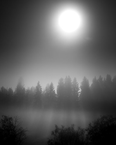 TR-47624_7194_TIMOREUNANEN_2020-10-01-013643_0.0_47624