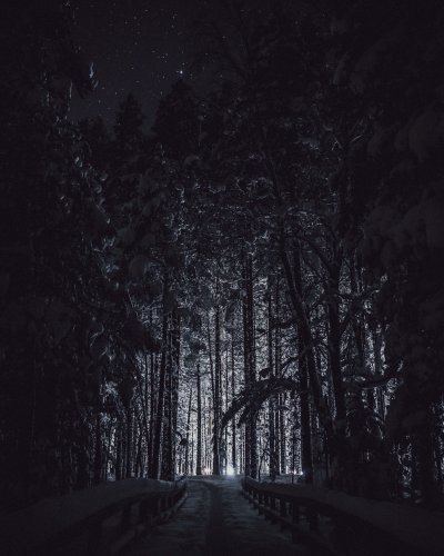 TR-51268_0484_TIMOREUNANEN_2021-02-05-210205_0.0_51268