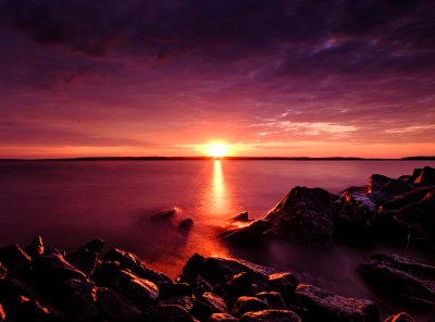 TR-55277_3969_TIMOREUNANEN_2021-06-06-042108_-1.0_55277-