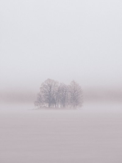 TR-66363_5722_TIMOREUNANEN_2021-11-15-080325_+1.7_66363-