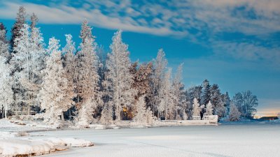 TR-70119_0380_TIMOREUNANEN_2021-12-08-070847_0.0_70119-