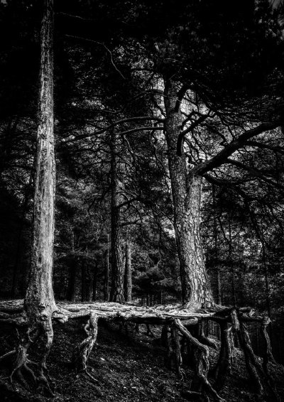 TRX-12097_TIMOREUNANEN_2018-10-06-175233_3283_-0.3_12097_AuroraHDR2019-edit