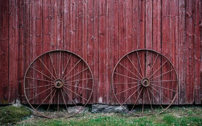 TR-43479_2710_TIMOREUNANEN_2020-06-06-202840_0.0_43479-Enhanced