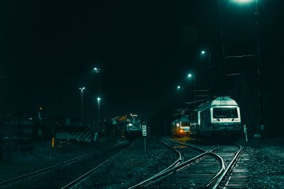 TR-89928_9260_TIMOREUNANEN_2022-10-02-002611_0.0_89928-Copy 1