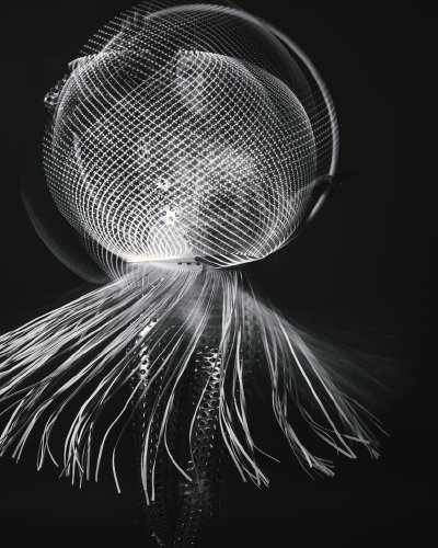 TR-19338_1040_TIMOREUNANEN_2019-03-16-205559_0.0_19338-IridientEdit