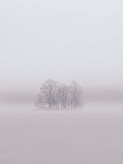 TR-66363_5722_TIMOREUNANEN_2021-11-15-080325_+1.7_66363-