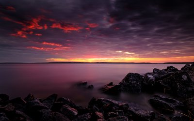 TR-55225_3917_TIMOREUNANEN_2021-06-06-034616_0.0_55225-