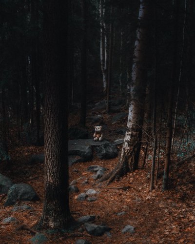 TR-99049_TIMOREUNANEN_2023-05-26-172422_99049-Enhanced-NR-Edit-