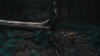 TR-99109_TIMOREUNANEN_2023-06-01-220343_99109-Enhanced-NR-Edit-